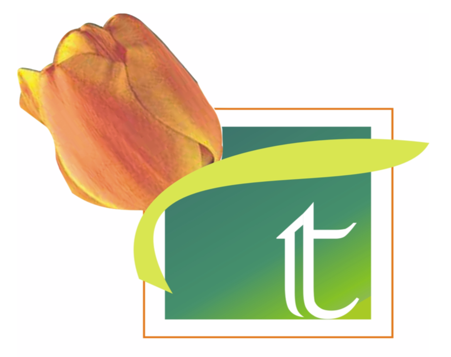 Tulip Infratech